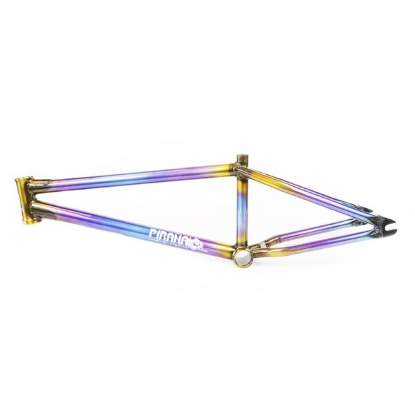 Marco Piraña Pro -MAPT0048